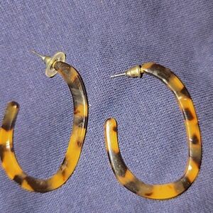 Tortoise Shell Hoop Earrings